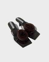 Blossom - Chocolate