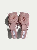 Blossom - Blush