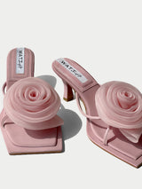 Blossom - Blush