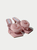Blossom - Blush