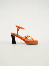 Apricot - Orange